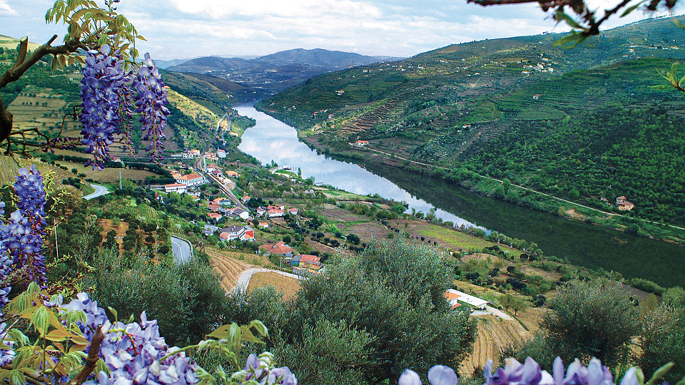 /images/r/portugal-douro-river-valley-view/c960x540g0-74-3300-1930/portugal-douro-river-valley-view.jpg