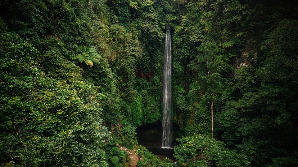/images/r/hawaii-waterfall/c960x540g0-283-5464-3357/hawaii-waterfall.jpg