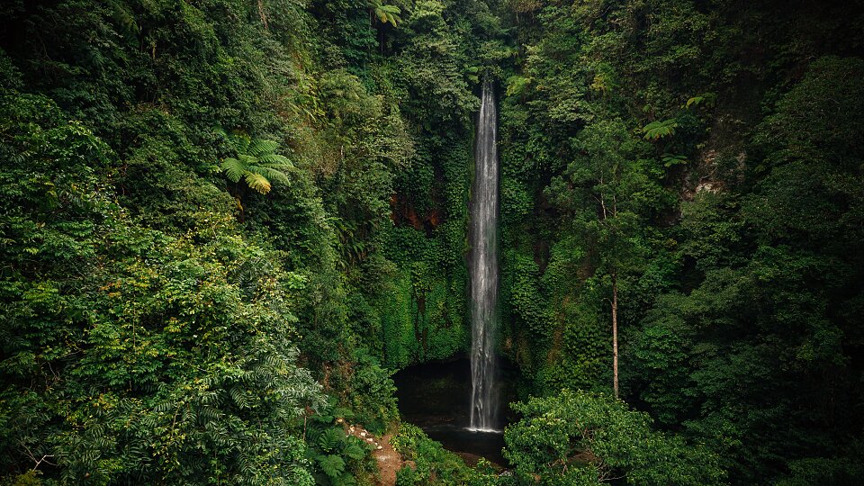 /images/r/hawaii-waterfall/c960x540g0-284-5464-3356/hawaii-waterfall.jpg