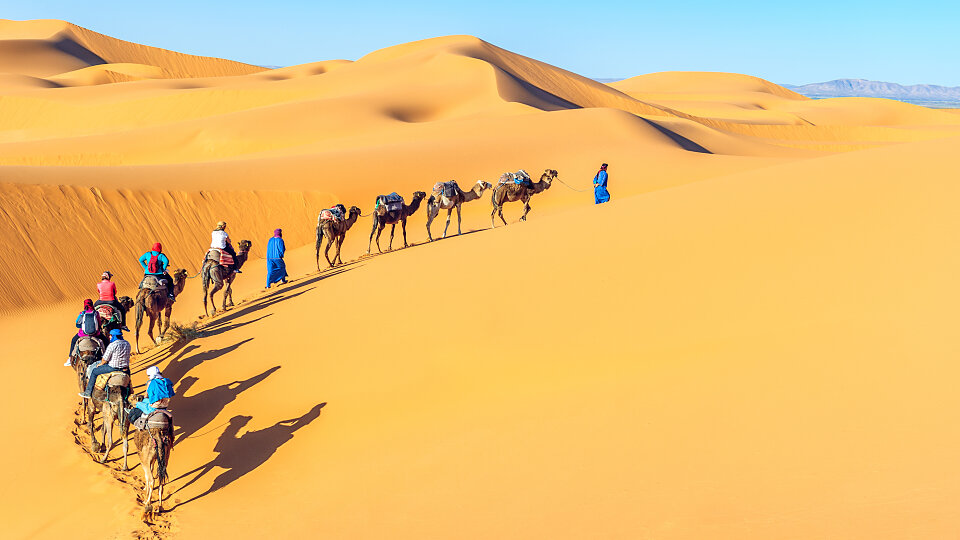 /images/r/morocco-camels-desert/c960x540g0-192-3984-2433/morocco-camels-desert.jpg